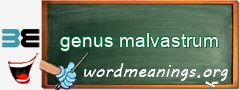 WordMeaning blackboard for genus malvastrum
